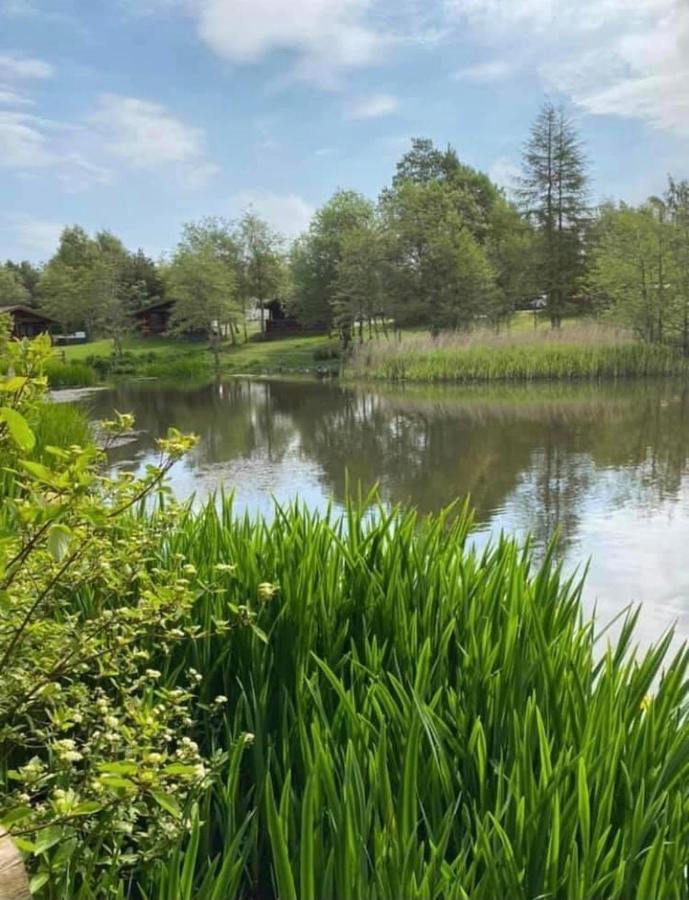 Sunny Daze Villa Morpeth Exteriör bild